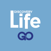 Download APK Discovery Life GO Latest Version