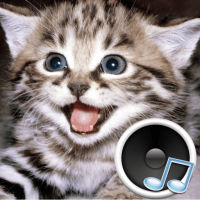 Download APK Animal sounds. Learn about animals and play. Latest Version