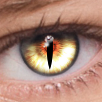 Scarica APK FoxEyes - Change Eye Color by Real Anime Style Ultima versione