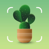 NatureID- Plant Identification